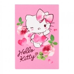Блокнот Kite 48 листов Hello Kitty HK17-224, клетка 